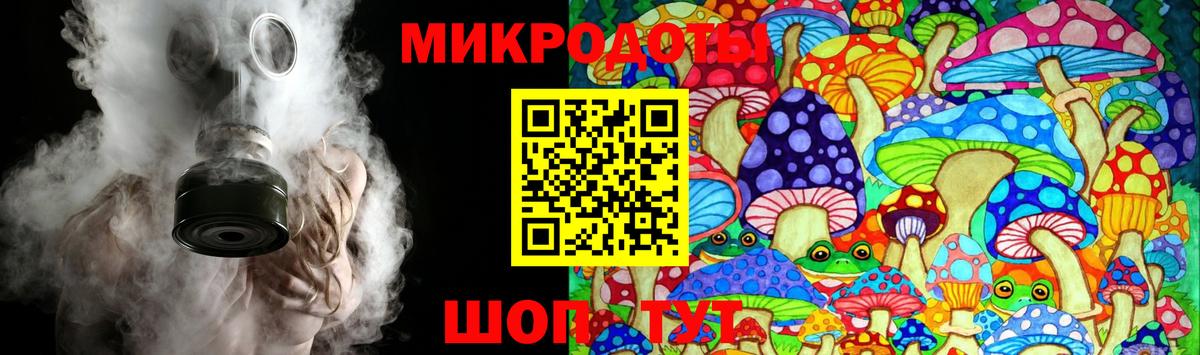 Псилоцибиновые грибы Psilocybe Кунгур